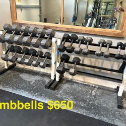 Dumbbell At 5-55 Pounds