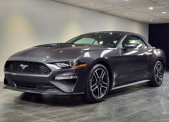 2022 Ford Mustang