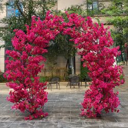 Hot Pink Bougainvilleas 🪴🌺