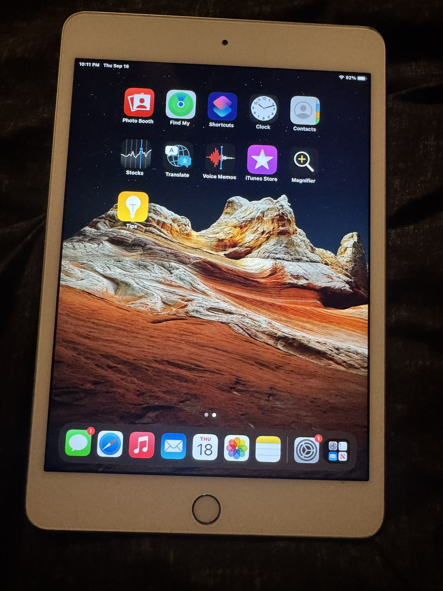 iPad Mini 4