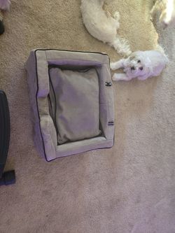 Pet Car Seat