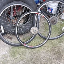 Fixie Rims