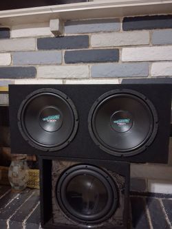 Dual 12 in subwoofer