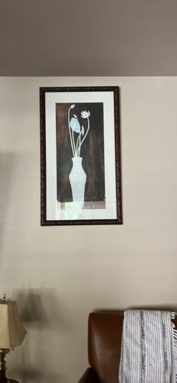 Framed 50”x29”