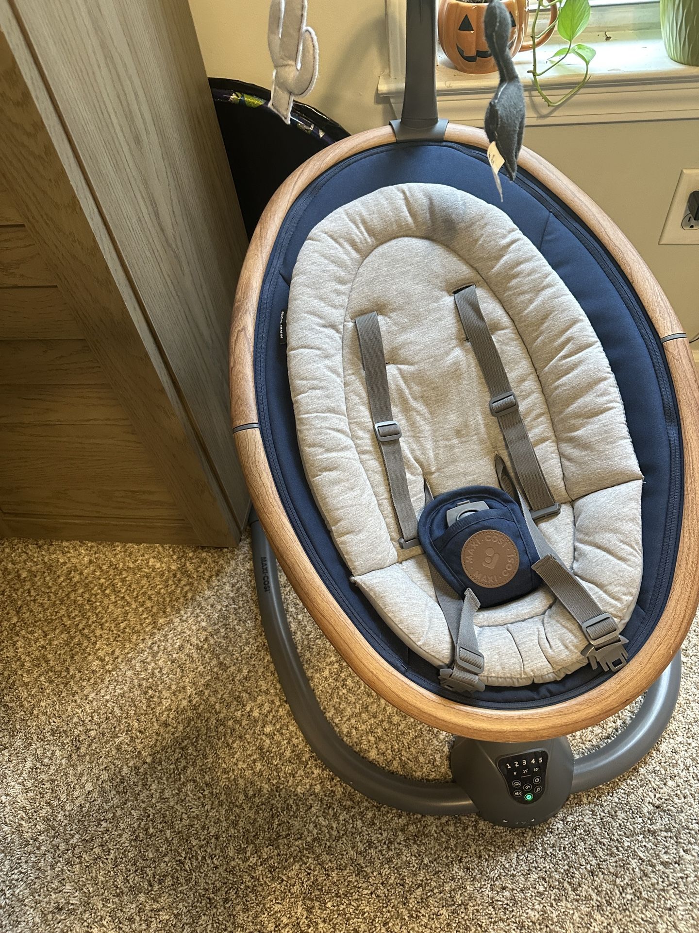 Maxi Cosi Swings