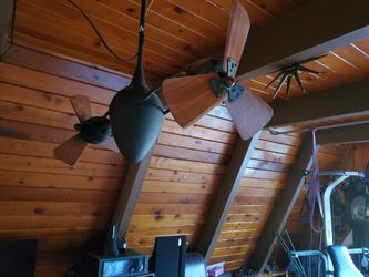 Matthews twin cimeiling fans