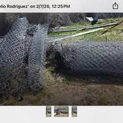 Her Fans 8 Feet Two Rollers