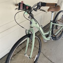 Trek Bike