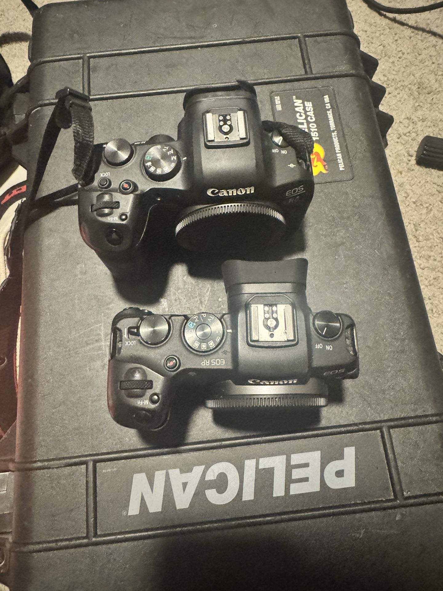 Canon R6 & RP