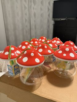 🔟 Mushroom Bug Cage