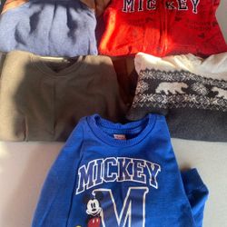 Toddler Boy Sweatshirts