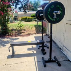 Bench Setup + 200 lb Olympic Bumper Weights, New