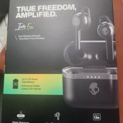 Skull Candy Indy Evo Earbuds