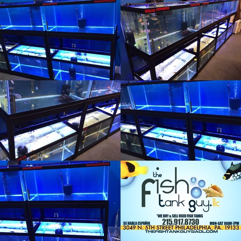 closing down fish room, have 4 of the same package deal... 2x 40 gallon breeders, double stand $200