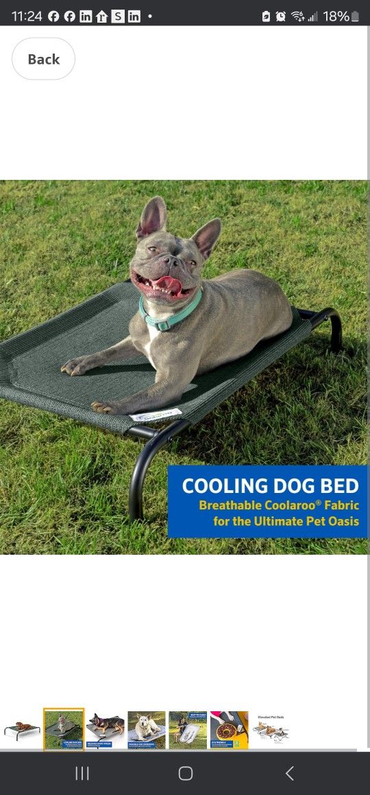Elevated Dog Bed