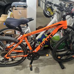Giant Atx 