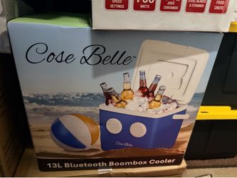 Speaker Cooler