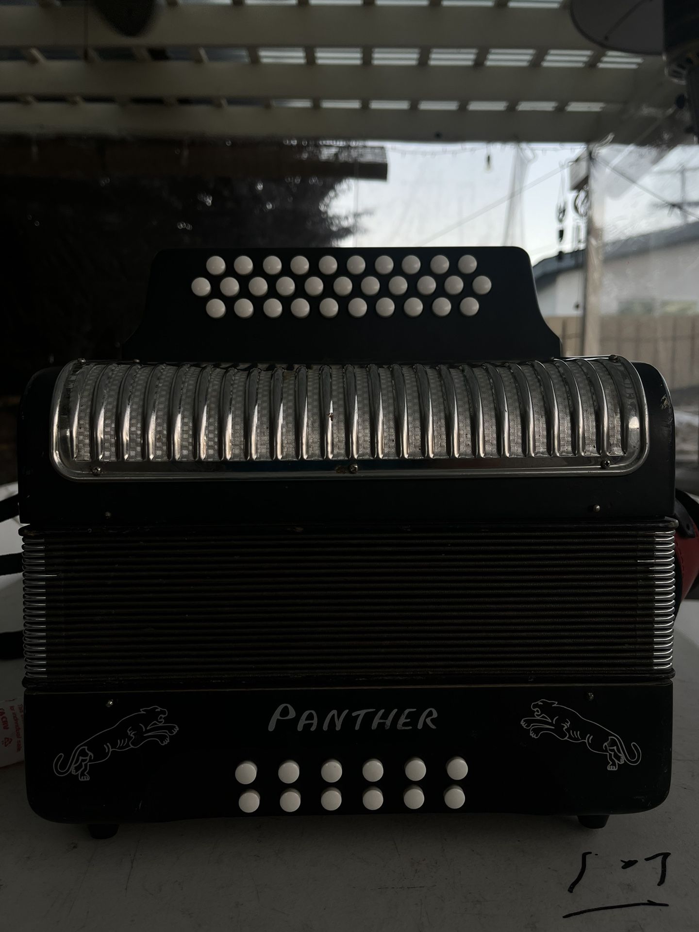 Accordion Hohner Panther Sol