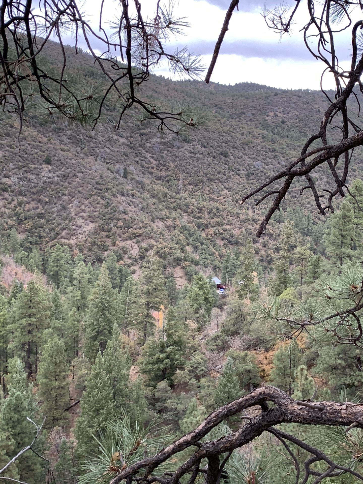 2 acre lot