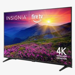 55in Insignia TV