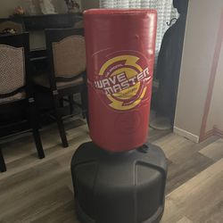 Kids Punching Bag 