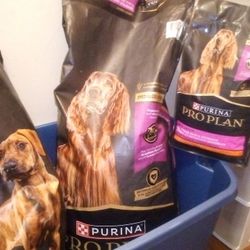 Purina Pro Plan And Royal Canine Dog Food 