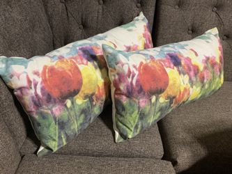 Cushions With Covers 