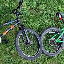 Two Mongoose BMX Bikes - Mt. Clemens Pick-Up