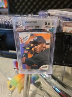 Michael Jordan Mt. 8.5
