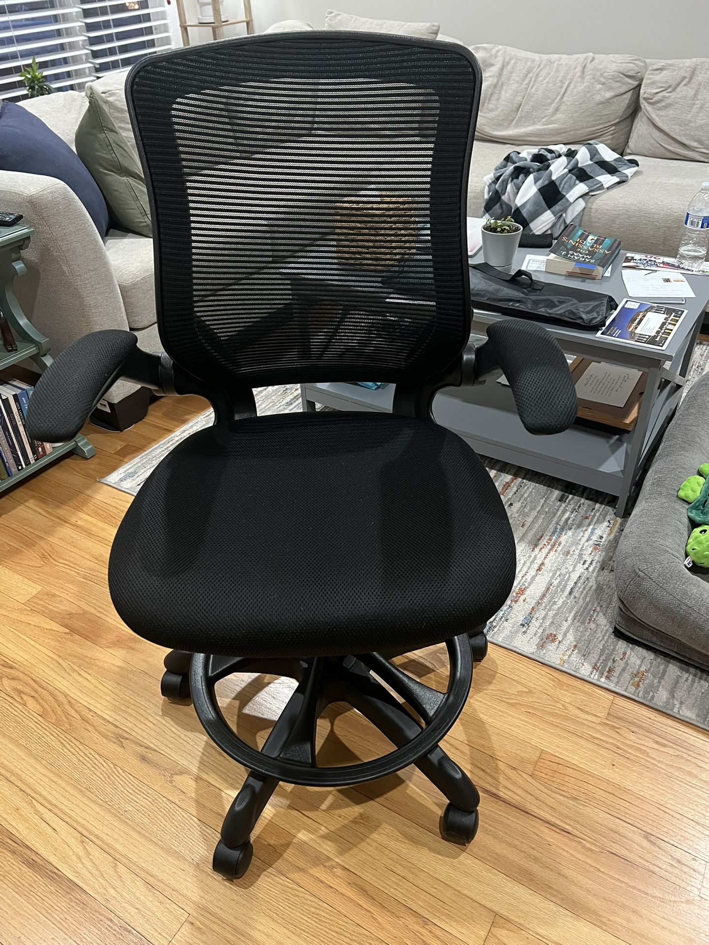 Ergonomically Correct Office Chair