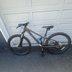 Specialized Mountain Bike 