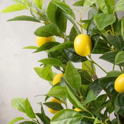 Artificial Lemon Tree 4ft 5ft 6ft New in Box $59