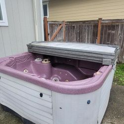 Marquis Hot Tub Just Needs New Control Panel