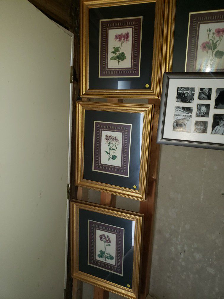 Artworks, Wall Art, Pictures, Pictures Frames, Planters, Plants