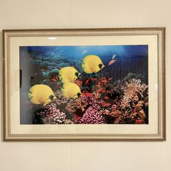 Large Framed Tropical Coral Reef Wall Art - 39" x 27"