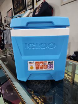 Igloo 12 Quart Cooler