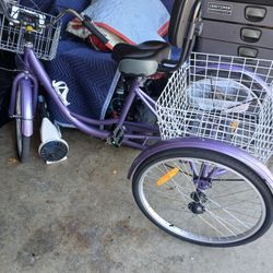 Free Bike Free Exercise Bike King Size Bed Frame And Free 20-in Tires In Excellent Condition