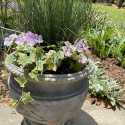 Poted Plants In Large Planter 