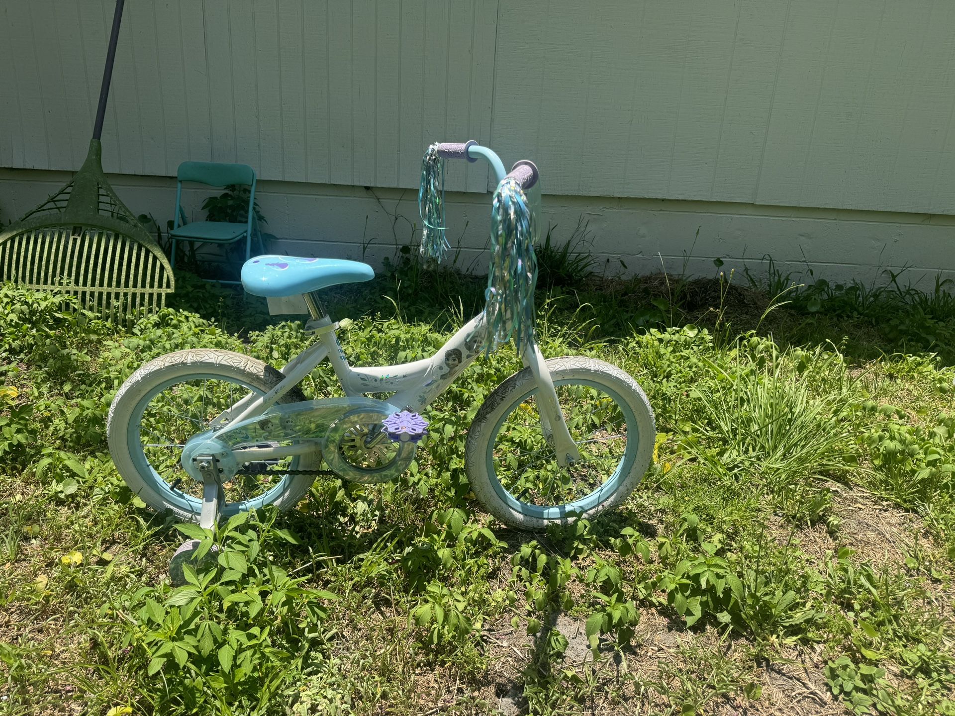 2 Kids Disney Bikes With Training Wheels