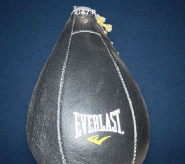 Everlast Platform Mount With Speed Bag