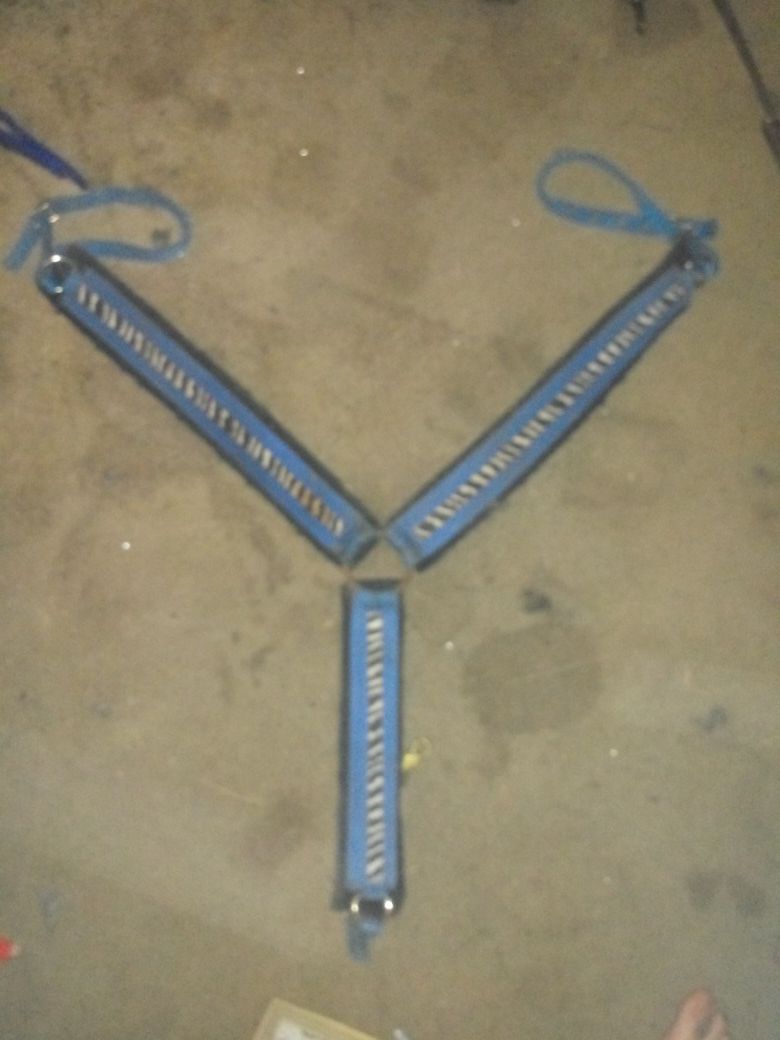 Blue and zebra breast collar and headstall tack set