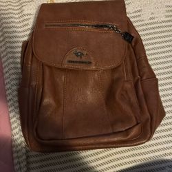 Backpack /purse