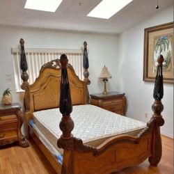 Micheal Amini Eden Queen Bed Set