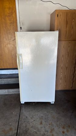 Stand up freezer