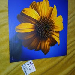 Sunflower Poster 