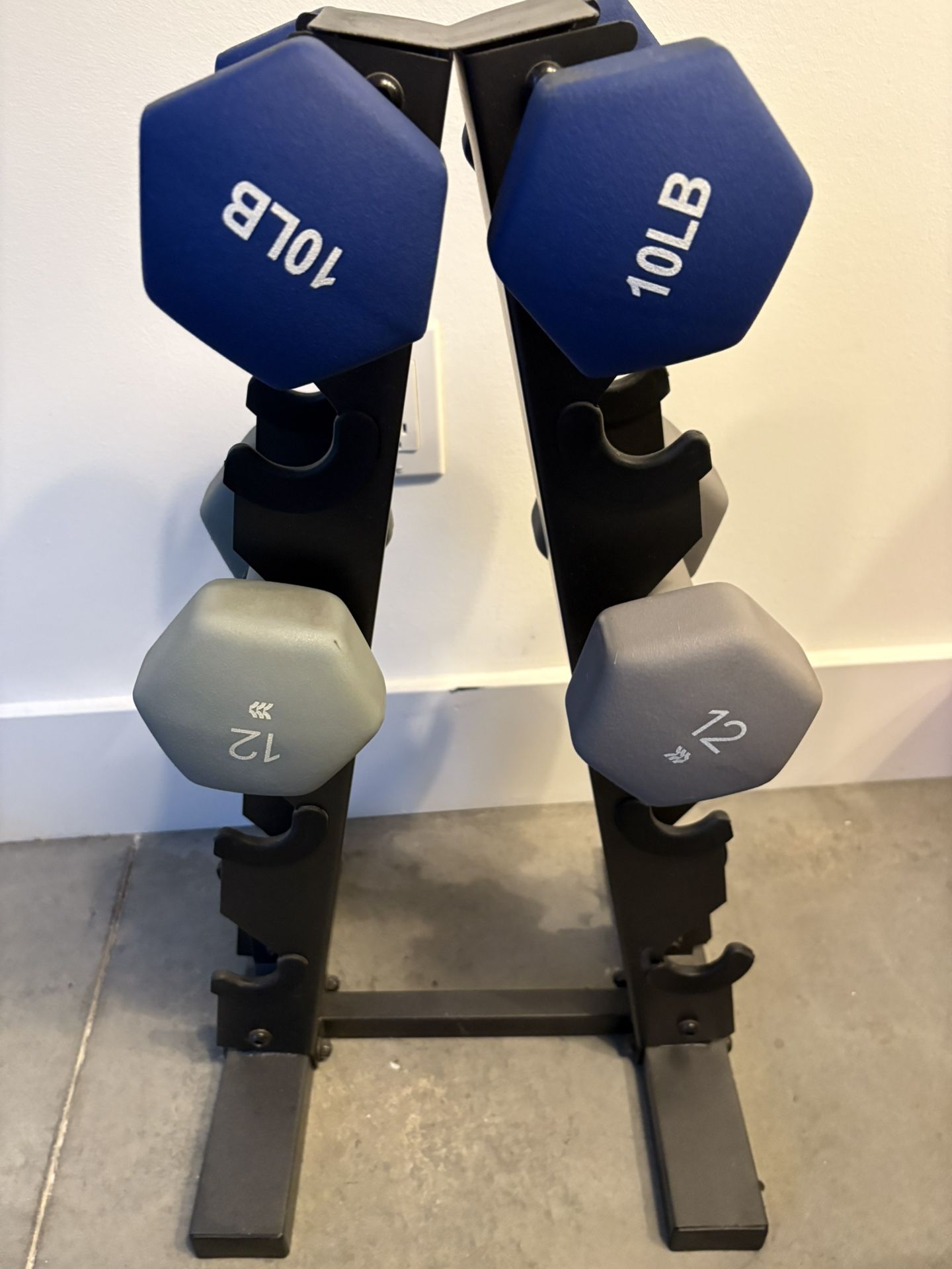 Rack with 10 and 12 lb Weights