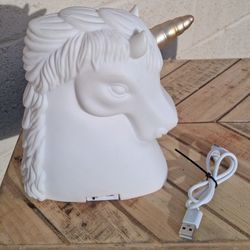 Portable wireless bluetooth speaker Lights Up Rainbow/charleston Pickup Between 2;00-10:40 Cash Only 