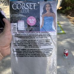 Blue Corset