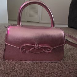 Aldo Purse