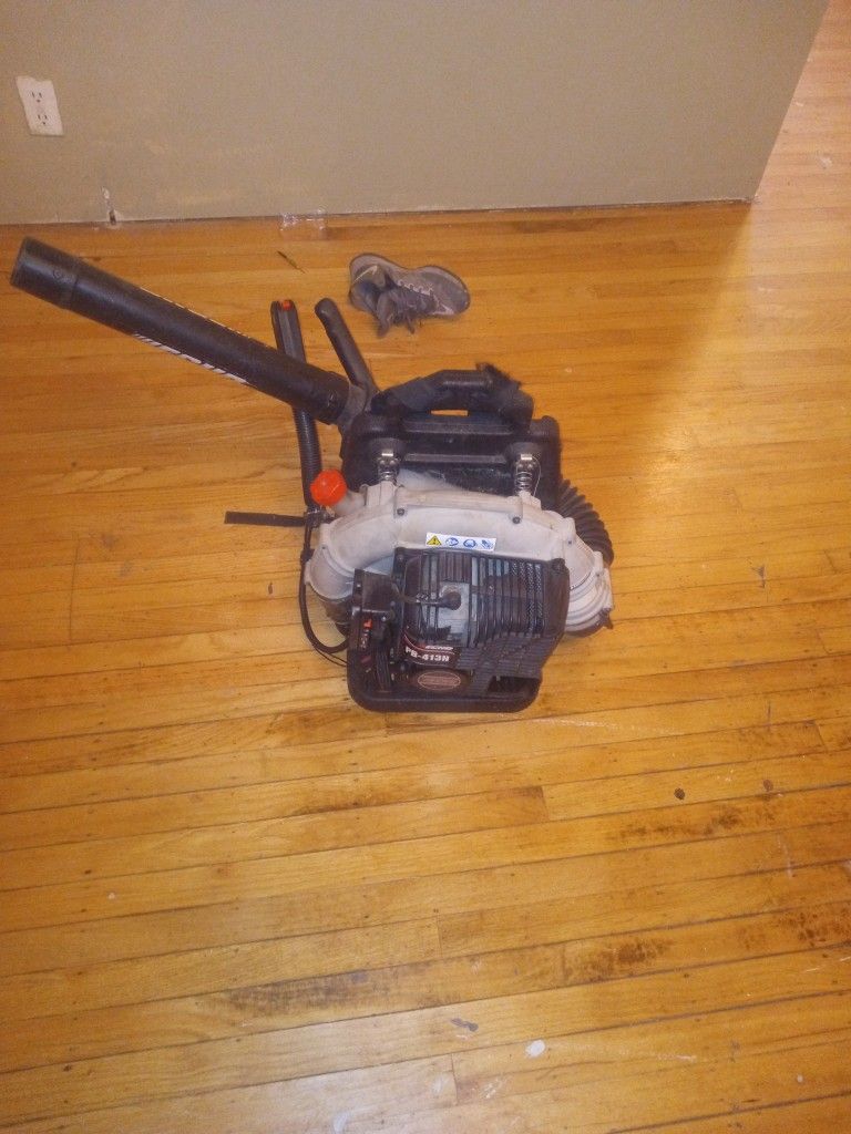 Echo Leaf Blower